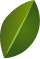 3012662a desi obj 1.png