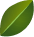 4f171d18 desi obj 2.png