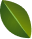 edf57783 desi obj 4.png